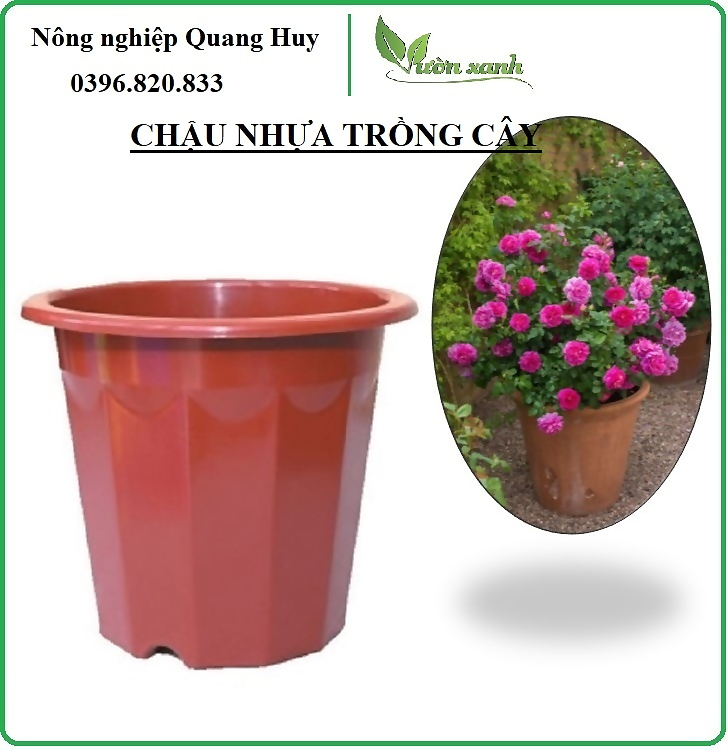 Chậu nhựa trồng cây E230 (19x15cm), Chậu E280 (23x20cm) - Chậu ươm